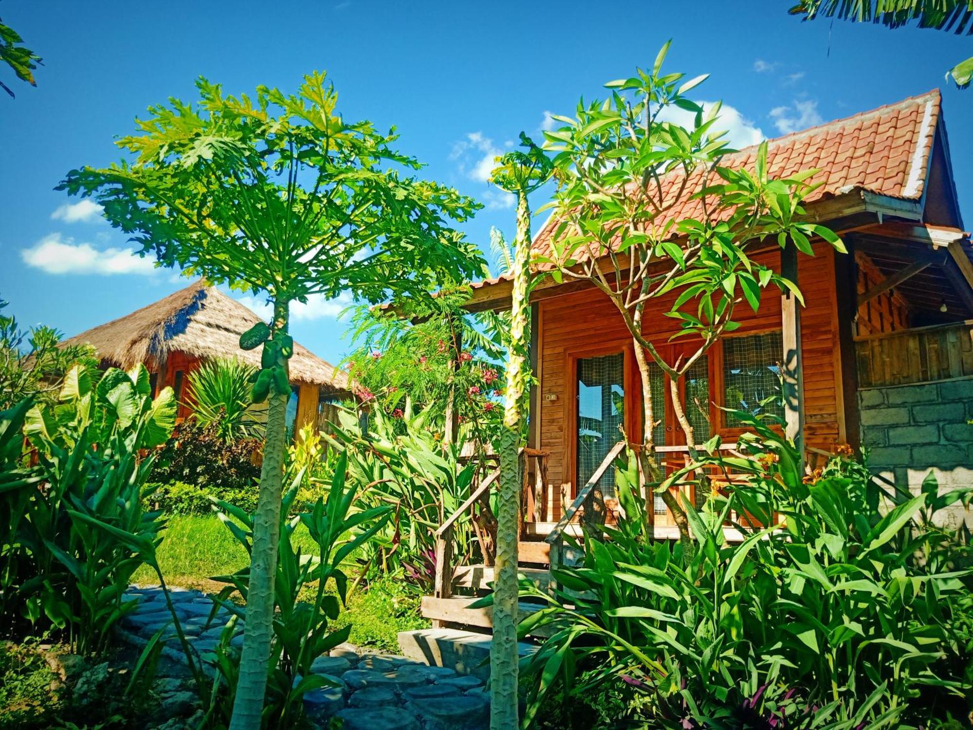 Umah Kayu 2-Menjangan Homestay Banyuwedang Exterior foto