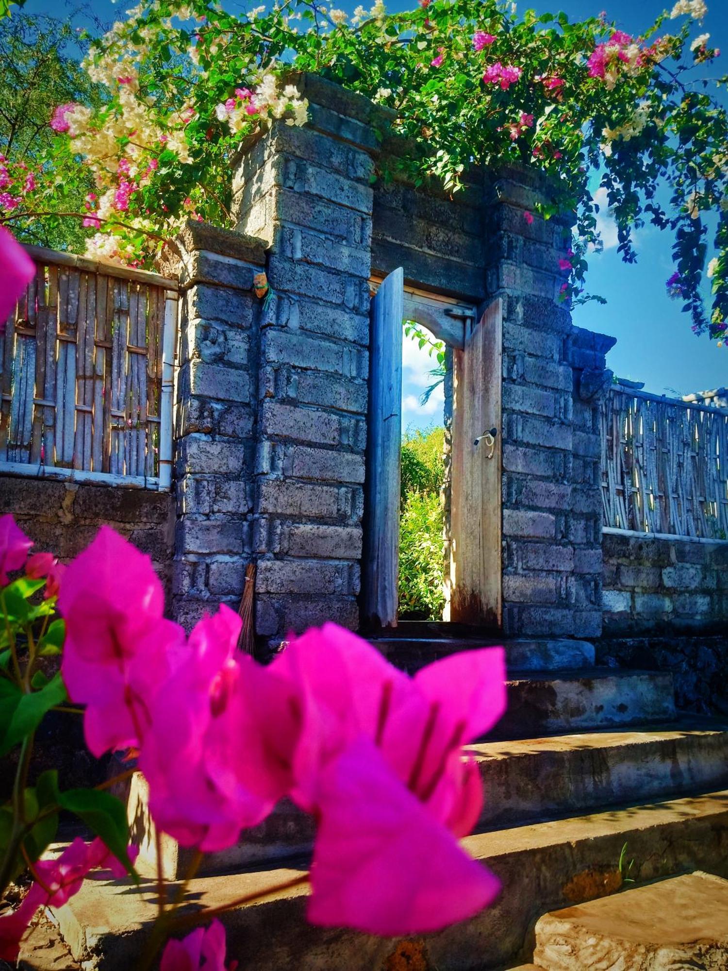Umah Kayu 2-Menjangan Homestay Banyuwedang Exterior foto